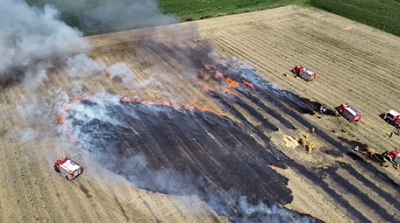 Feuerwehr trainiert Vegetationsbrandbekämpfung
