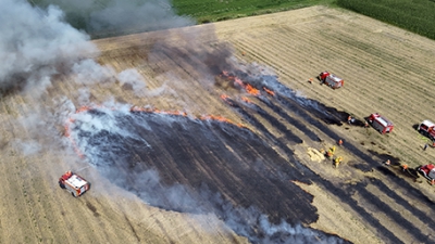 Feuerwehr trainiert Vegetationsbrandbekämpfung