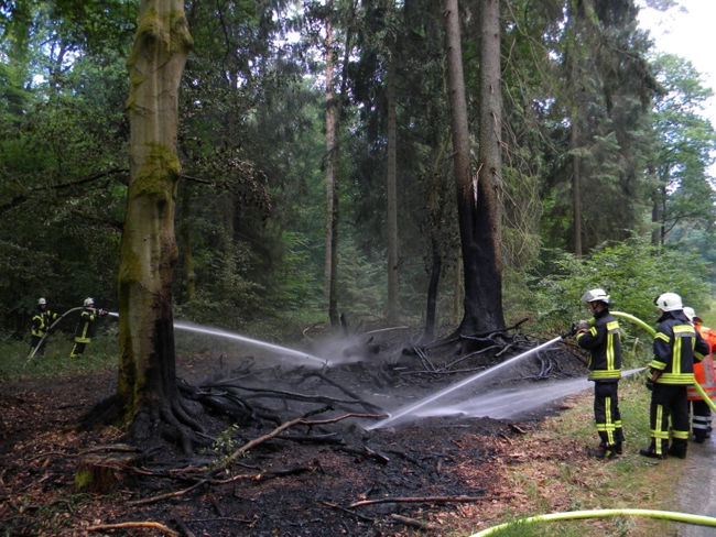 2018-06-12 Waldbrand Zernien 3