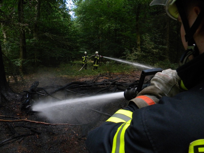 2018-06-12 Waldbrand Zernien 4