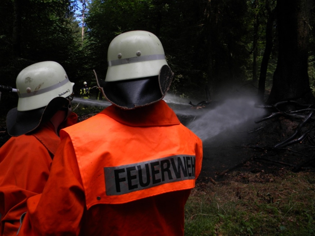 2018-06-12 Waldbrand Zernien 6