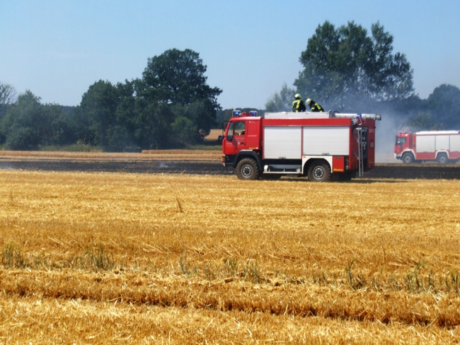 2018-07-05 Stoppelfeld 01