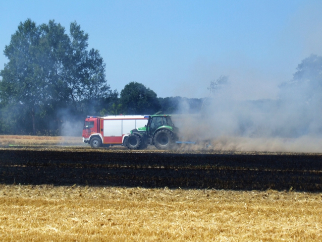 2018-07-05 Stoppelfeld 02