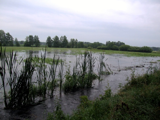 2017-07-01-Hochwasserschutz1