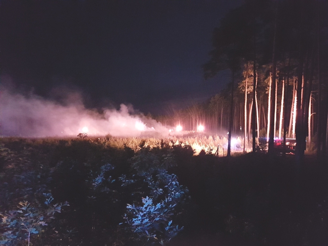 2018-06-11-Foto 2 Brandflaeche