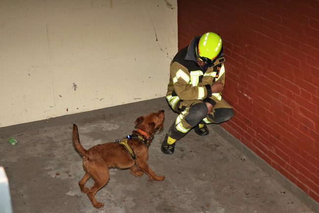2018-10-20 Hundestaffel 2