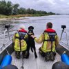 Suchhunde auf der Elbe im Einsatz