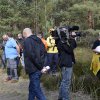 Heidebrennen in der Nemitzer Heide
